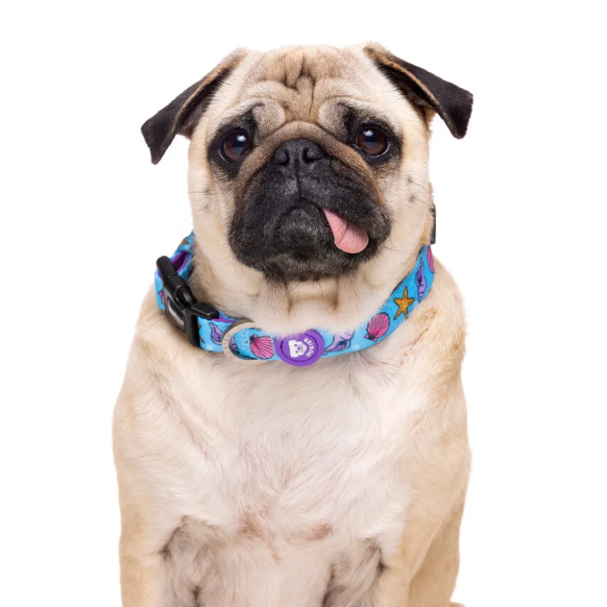 Dukier Mermaid coleira para cães
