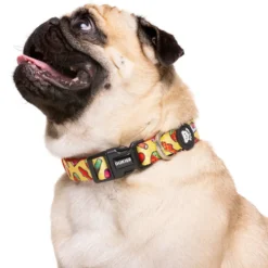 Dukier Sweets coleira para cães