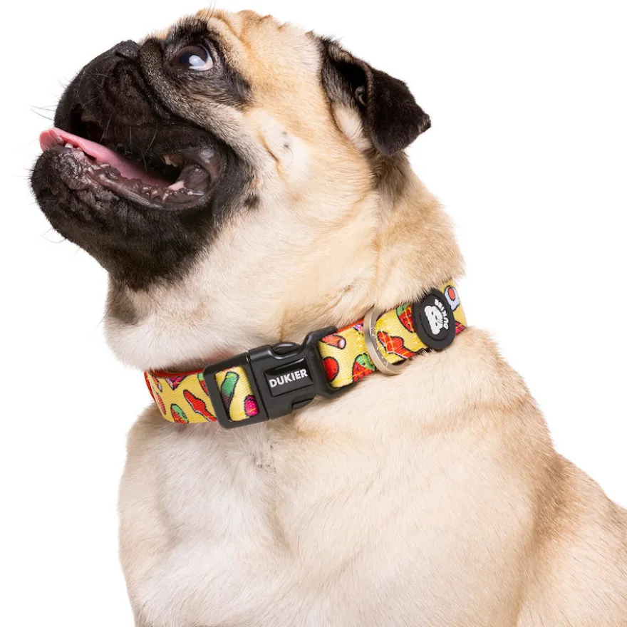 Dukier Sweets coleira para cães