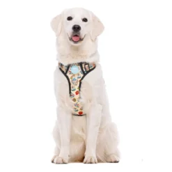Dukier Tattoo Peitoral Trail para cães