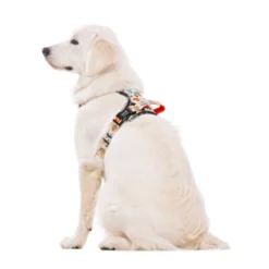 Dukier Tattoo Peitoral Trail para cães
