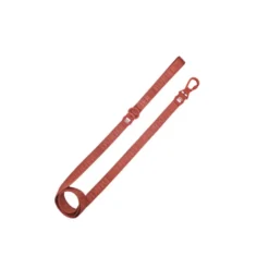Dukier Trela Cor terracota para cães