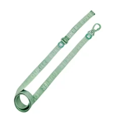Dukier Trela Cor verde para cães