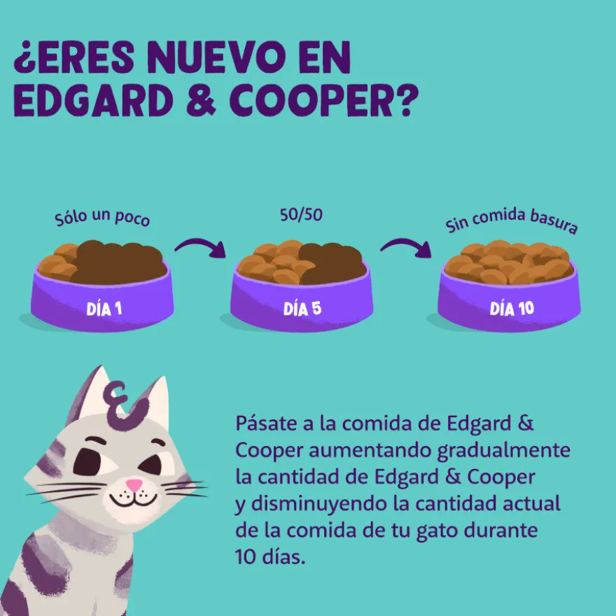 Edgard & Cooper Adult Cordeiro e Frango em Patê terrina para gatos