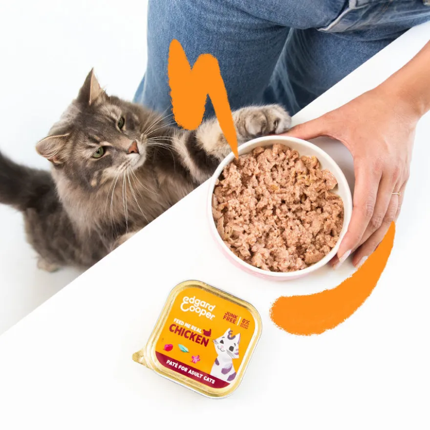 Edgard & Cooper Adult Frango em Patê terrina para gatos