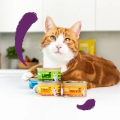 Edgard & Cooper Adult Pedaços de Peru e Frango com molho em lata para gatos