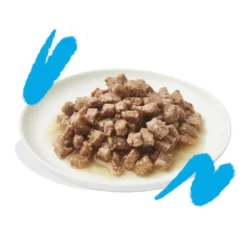 Edgard & Cooper Adult Pedaços de Salmão e Frango com molho em lata para gatos