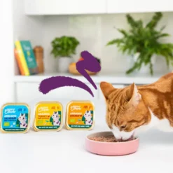 Edgard & Cooper Adult Peru e Frango Orgânico em Paté terrina para gatos