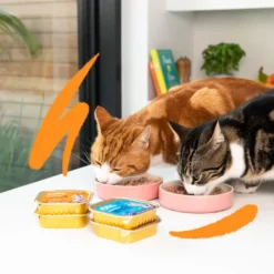 Edgard & Cooper Adult Salmão e Frango em Patê terrina para gatos
