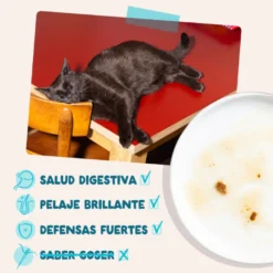 Edgard & Cooper Comida húmida de atum e frango em molho em saquetas para gatos