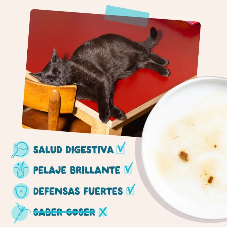 Edgard & Cooper Comida húmida de atum e frango em molho em saquetas para gatos
