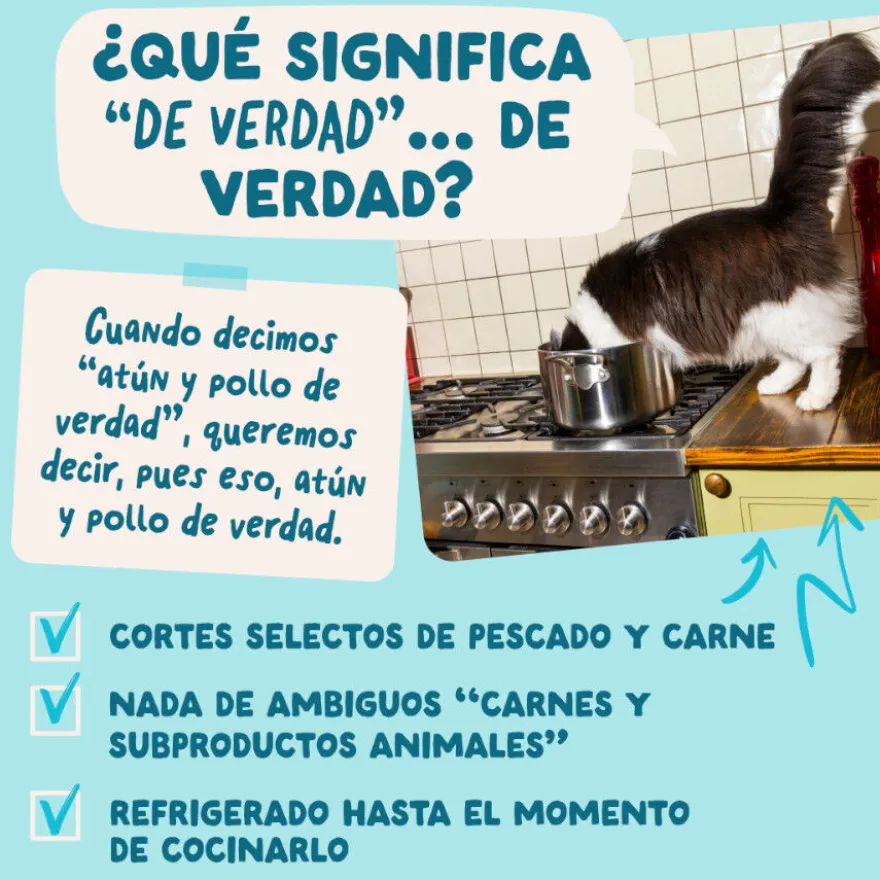 Edgard & Cooper Comida húmida de atum e frango em molho em saquetas para gatos