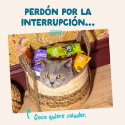 Edgard & Cooper Comida húmida de atum e frango em molho em saquetas para gatos