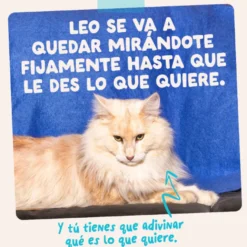 Edgard & Cooper Comida húmida de atum e frango em molho em saquetas para gatos