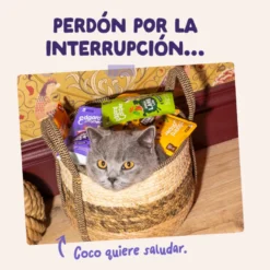 Edgard & Cooper Comida húmida de pato e peru em molho em saquetas para gatos