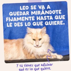 Edgard & Cooper Comida húmida de pato e peru em molho em saquetas para gatos