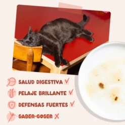 Edgard & Cooper Comida húmida de truta e frango em molho me saquetas para gatos