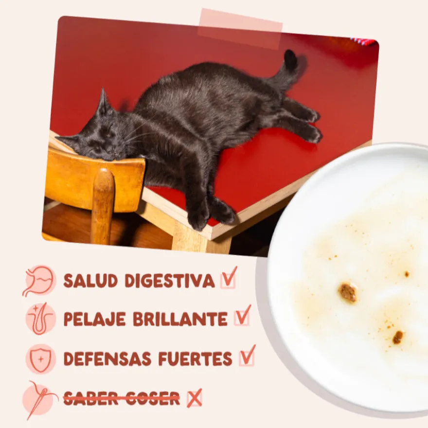 Edgard & Cooper Comida húmida de truta e frango em molho me saquetas para gatos