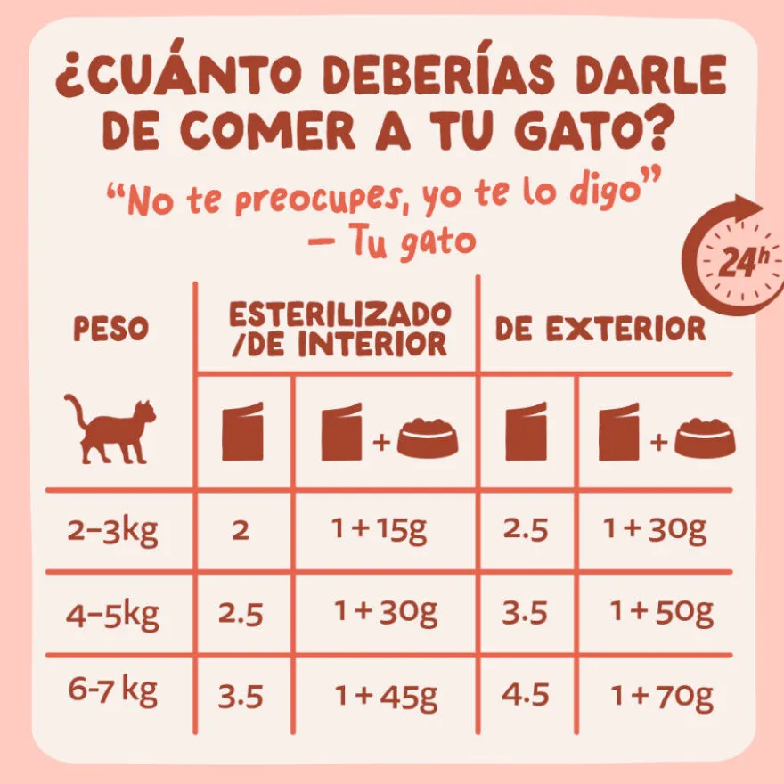 Edgard & Cooper Comida húmida de truta e frango em molho me saquetas para gatos