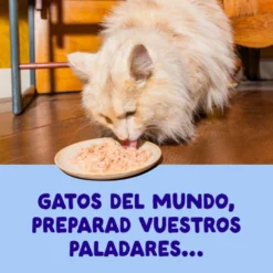 Edgard & Cooper Comida húmida Filetes de Atum e Frango em Caldo em lata para gatos