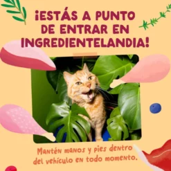 Edgard & Cooper Feasts from the farm em molho em saqueta para gatos