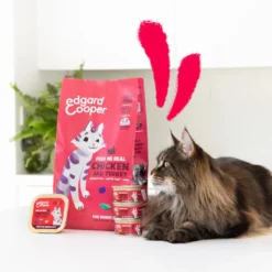 Edgard & Cooper Frango e Peru em Patê terrina para gatos seniores
