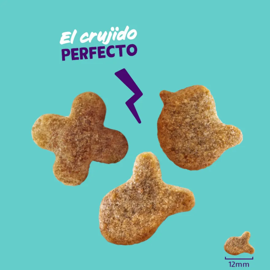 Edgard & Cooper Galletas Crunchies Salmão para gatos