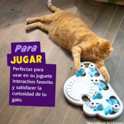Edgard & Cooper Galletas Crunchies Salmão para gatos