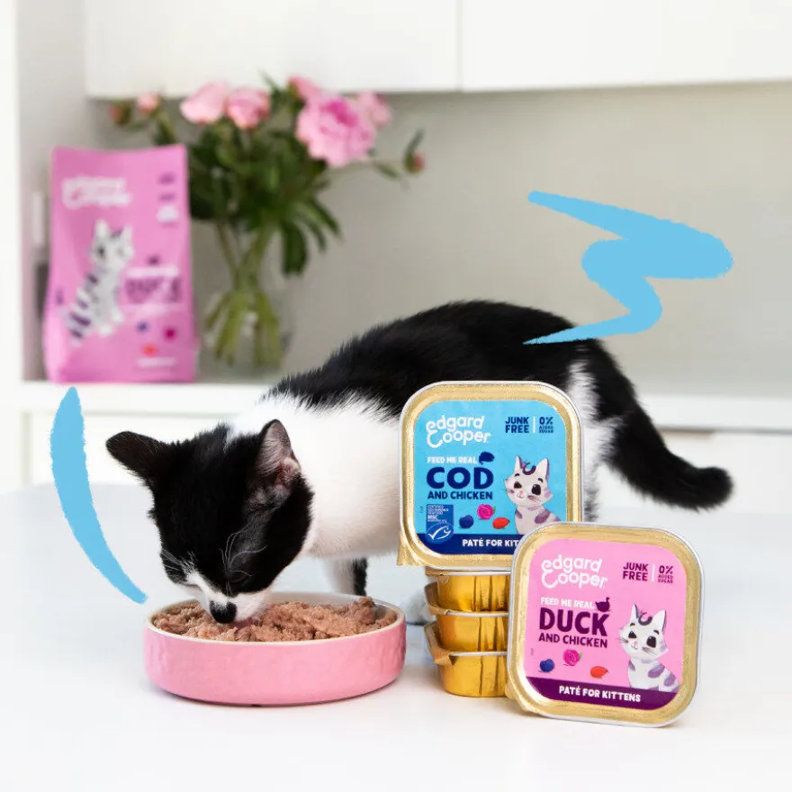 Edgard & Cooper Kitten Bacalhau e Frango em Patê terrina