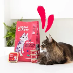 Edgard & Cooper Senior Frango e Peru ração para gatos