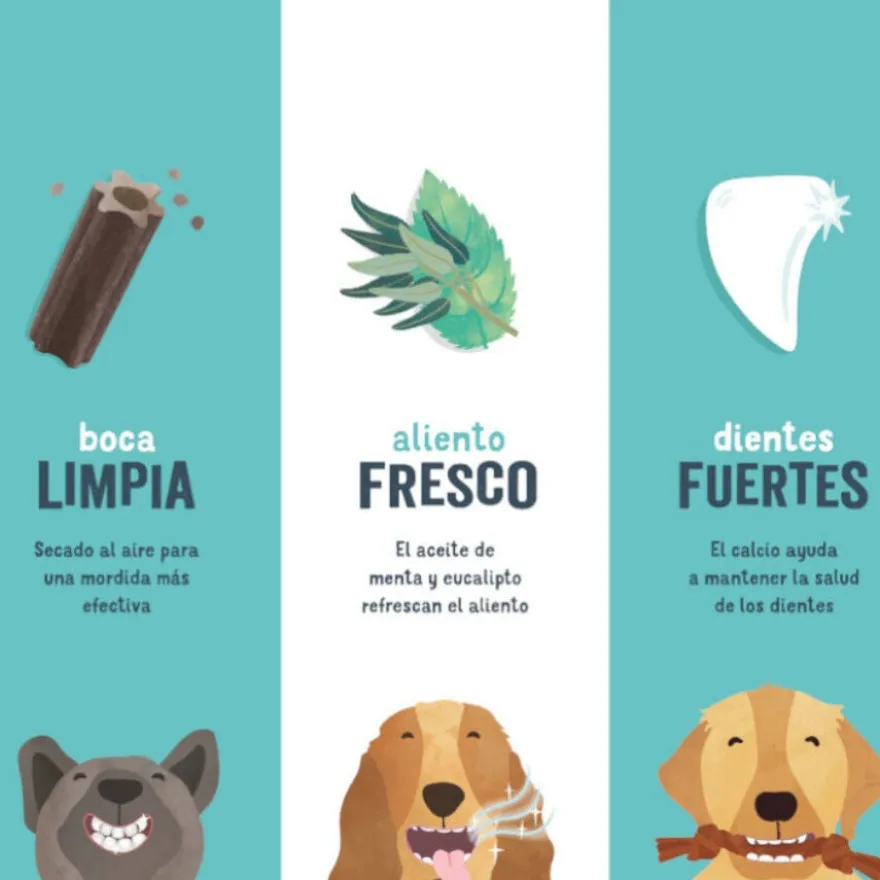 Edgard & Cooper Snacks Dentários Adult Large Maçã e Eucalipto para cães