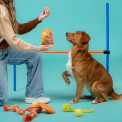 Edgard & Cooper Snacks Grandes de Salmão e Frango para cães