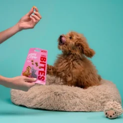 Edgard & Cooper Snacks Mini Puppy de Pato e Frango para cães