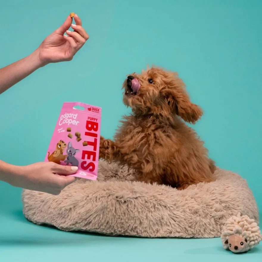 Edgard & Cooper Snacks Mini Puppy de Pato e Frango para cães