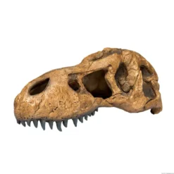 Exo Terra Crânio de T-Rex Gruta para terrários