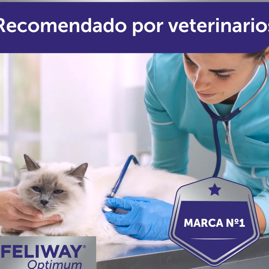 Feliway Optimum relaxante para gatos