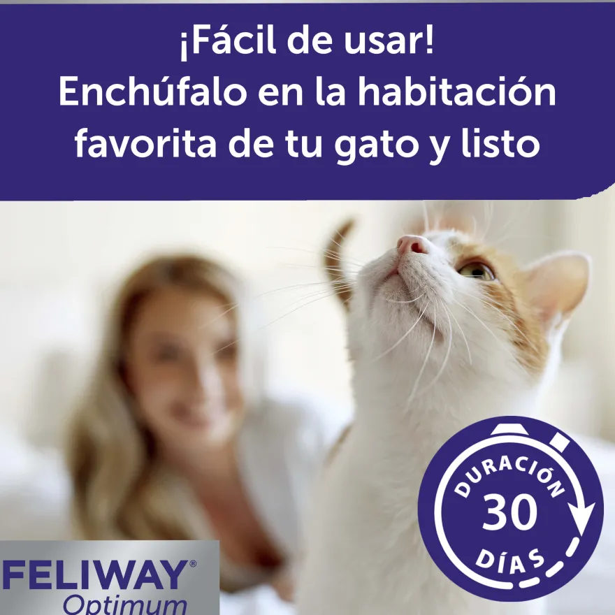 Feliway Optimum relaxante para gatos