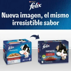 Felix Fantastic Duo Delicious Peixe em gelatina para gatos