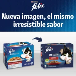 Felix Seleção de carnes em gelatina