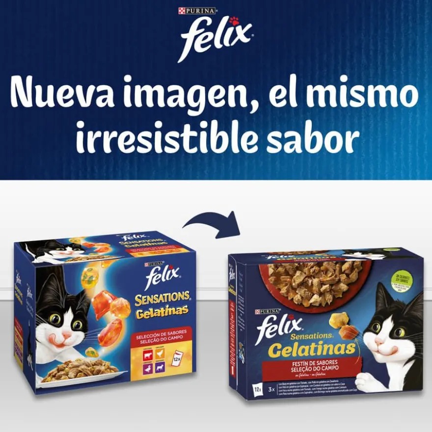 Felix Sensations Seleção do Campo saquetas em galeia