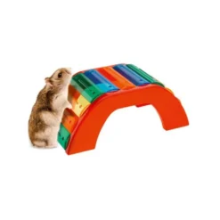 Ferplast ponte colorida para hamsters
