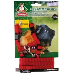 Flamingo Peitoral com Trela Vermelho para porquinhos-da-índia