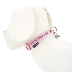 Freedog Coleira rosa com tachas para cães