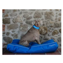 Freedog Cool Pro Tech Coleira Azul para cães