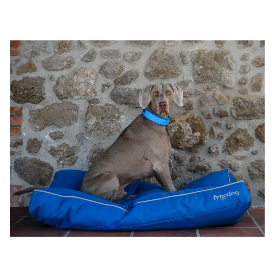 Freedog Cool Pro Tech Coleira Azul para cães