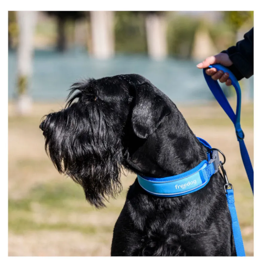 Freedog Cool Pro Tech Trela Azul para cães