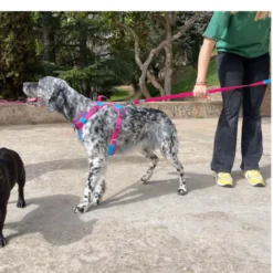 Freedog Cool Pro Tech Trela Desportiva Fúscia para cães