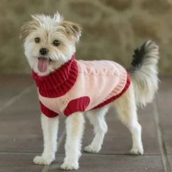 Freedog Elsinor Camisola para cães