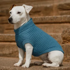 Freedog Frapp Camisola azul para cães