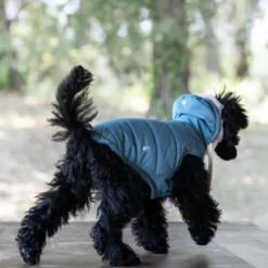 Freedog Iceguard Capa de Chuva Azul-claro para cães